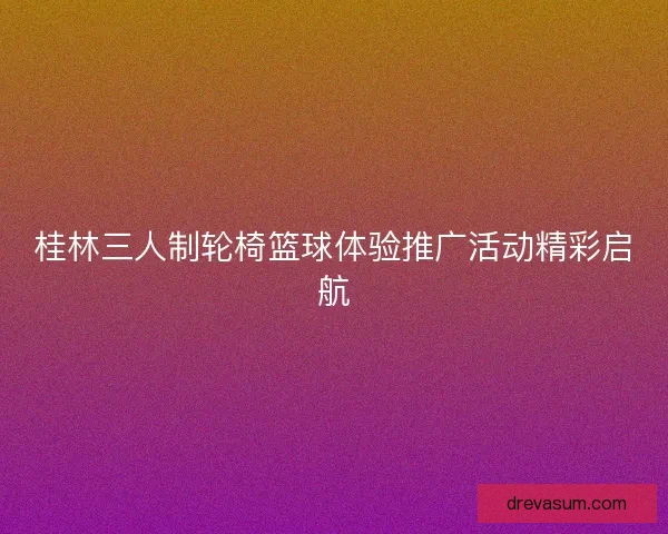 桂林三人制轮椅篮球体验推广活动精彩启航
