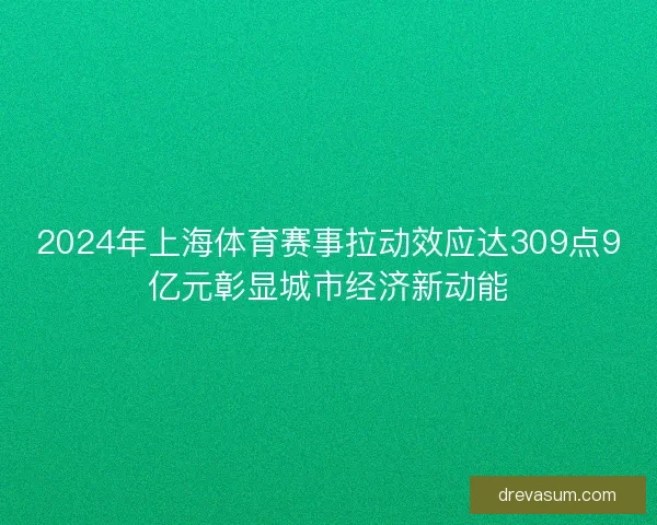 2024年上海体育赛事拉动效应达309点9亿元彰显城市经济新动能
